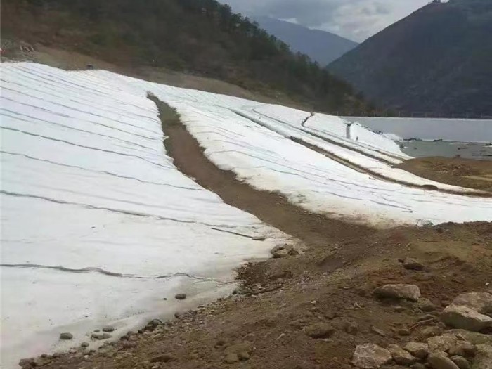 土工膜防渗技术在土石坝中的应用